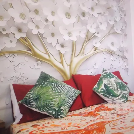 Mexicanissima For Family, Groups