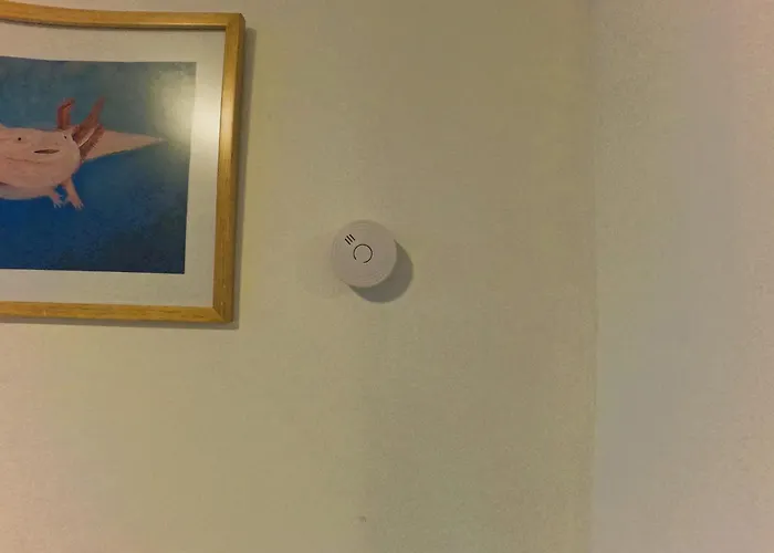 Mexicanissima 4br, 4 To 11 Guests In Coyoacan Apartment *