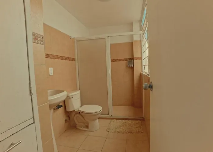 Mexicanissima 4br, 4 To 11 Guests In Coyoacan *