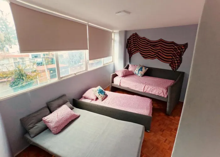 Mexicanissima 4br, 4 To 11 Guests In Coyoacan Mexico City