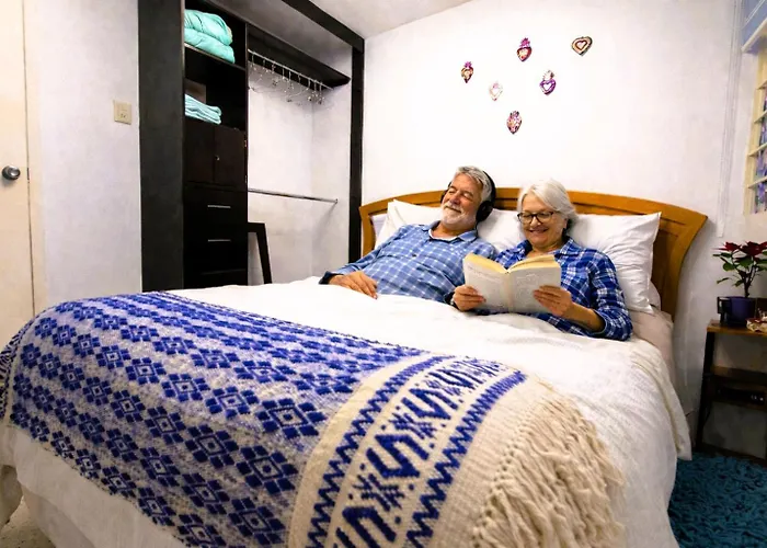 Mexicanissima 4br, 4 To 11 Guests In Coyoacan Apartment Mexico City