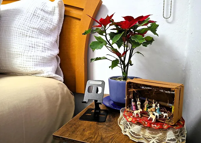 Mexicanissima 4br, 4 To 11 Guests In Coyoacan *